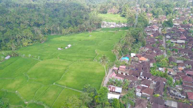 tanah di kenderan ubud bali dekat manuaba waterfall