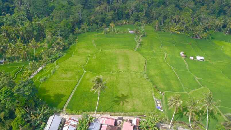 tanah di kenderan ubud bali dekat manuaba waterfall