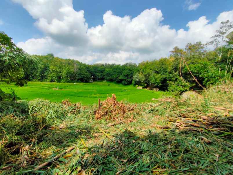 tanah di negeri katon pesawaran