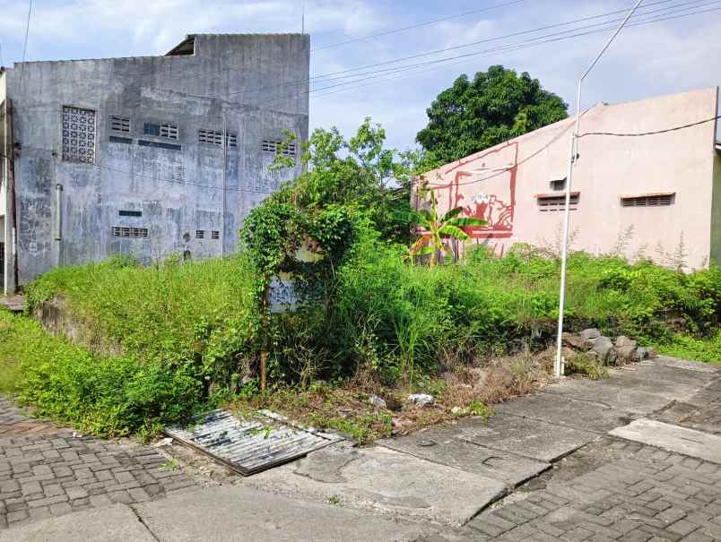 tanah hook turangga mukti pedurungan semarang