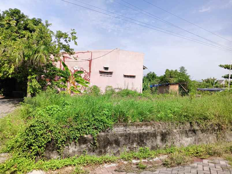 tanah hook turangga mukti pedurungan semarang