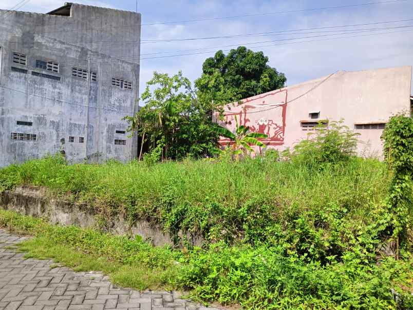 tanah hook turangga mukti pedurungan semarang