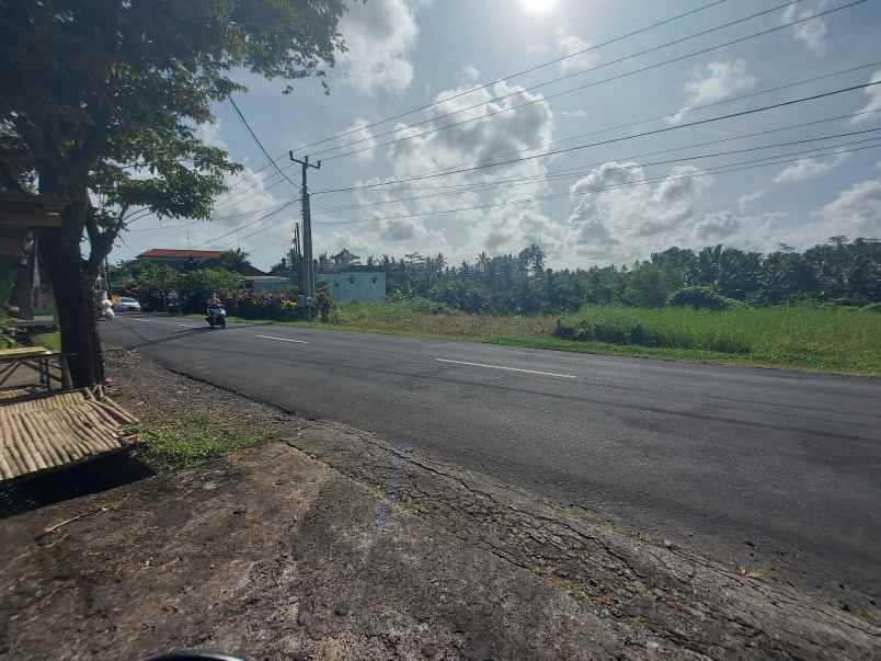 Dijual Tanah Pinggir Jalan Utama Tabanan Bali Luas 1450 M Dekat Kota