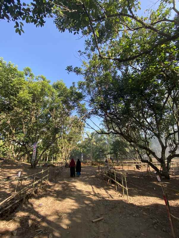 tanah kavling murah batu mekar lingsar