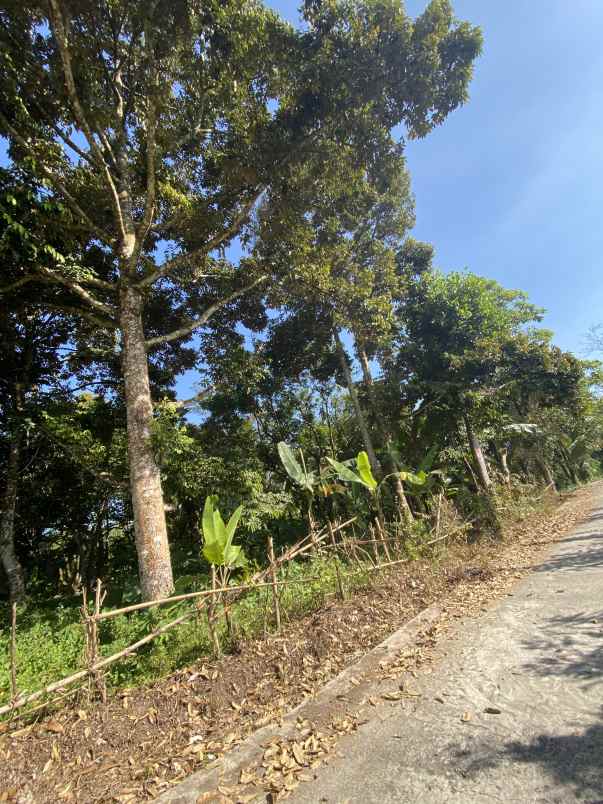 tanah kavling murah batu mekar lingsar