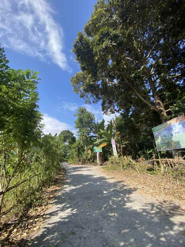 tanah kavling murah batu mekar lingsar