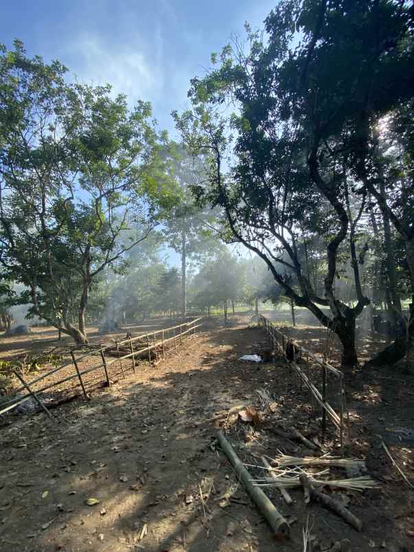 tanah kavling murah batu mekar lingsar