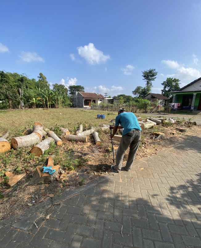 tanah kavling murah tulungagung