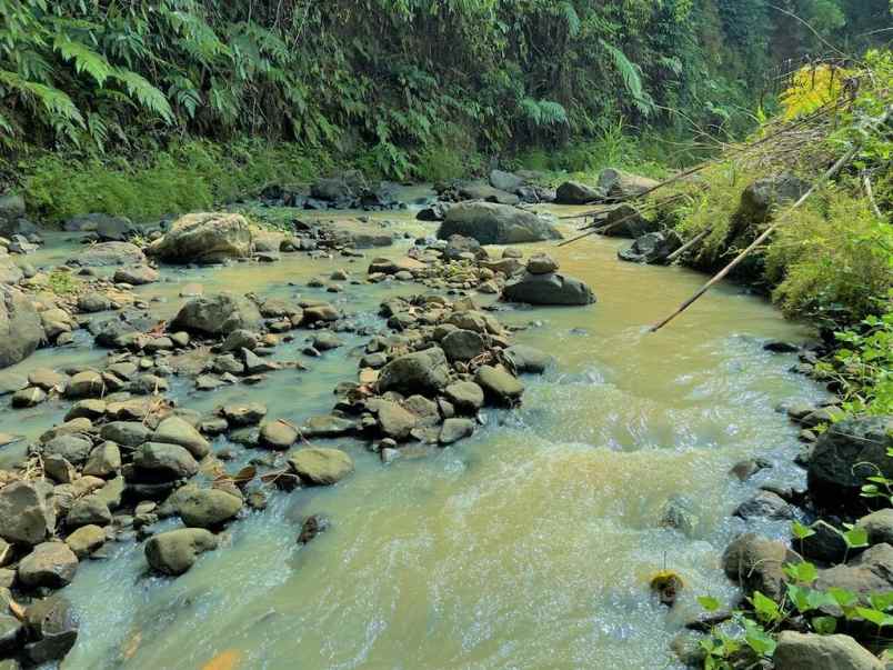 tanah kebun durian 1015m hanya 200jt karanganyar