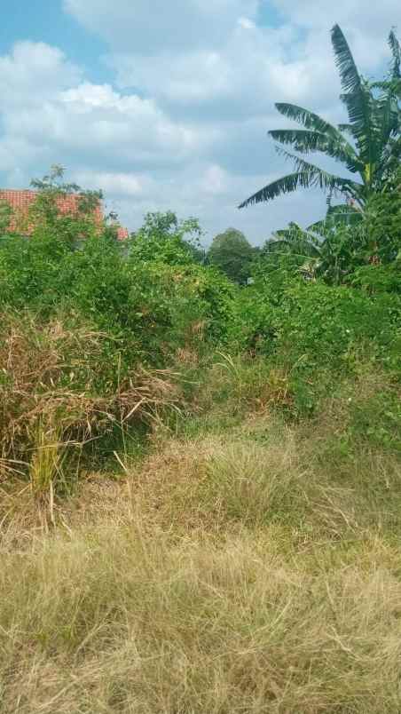 tanah kebun rata dan strategis