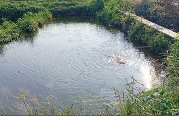 tanah kolam ikan 3105m2 dijanti klaten 775jt nego