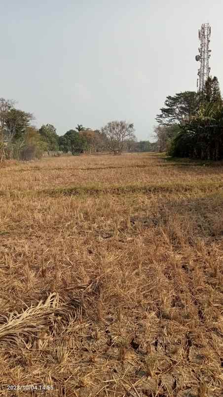 tanah komersil 7 ha cimuning bekasi