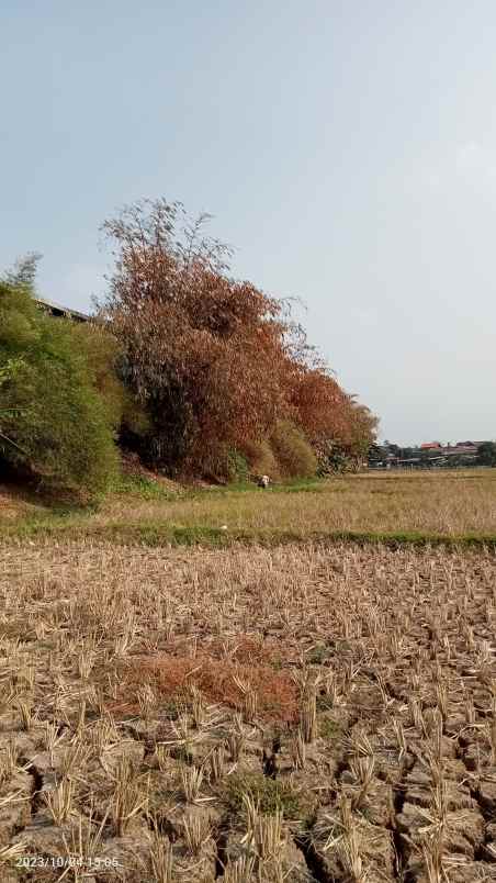 tanah komersil 7 ha cimuning bekasi