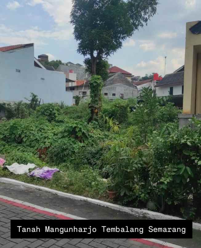 tanah mangunharjo tembalang semarang