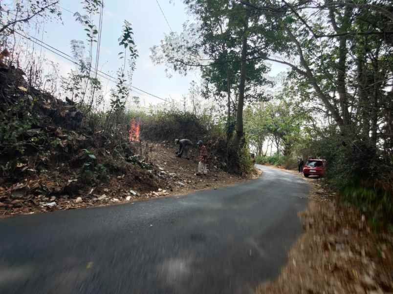 tanah murah luas harga borongan di junrejo batu