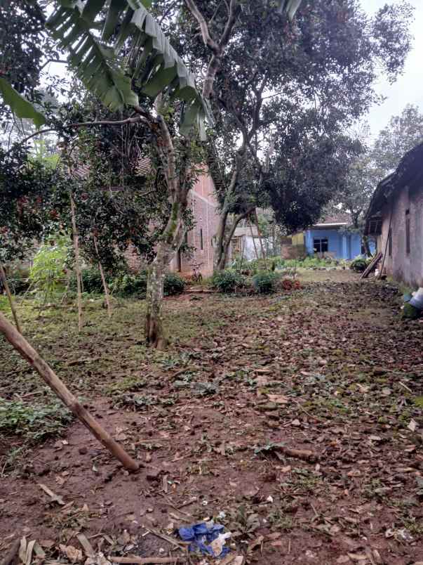 tanah murah posisi hook di wonolopo mijen