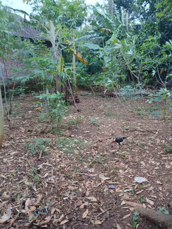 tanah murah posisi hook di wonolopo mijen