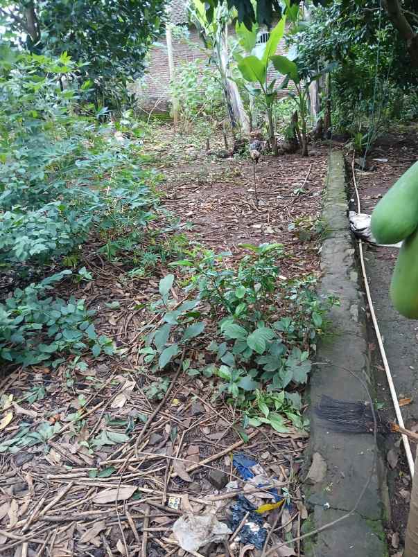 tanah murah posisi hook di wonolopo mijen