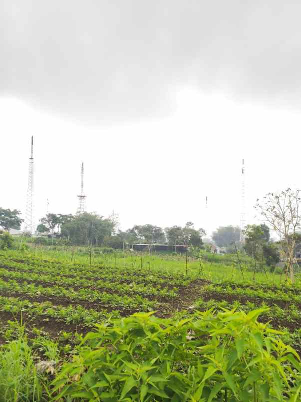 tanah murah strategis view menawan di kota batu