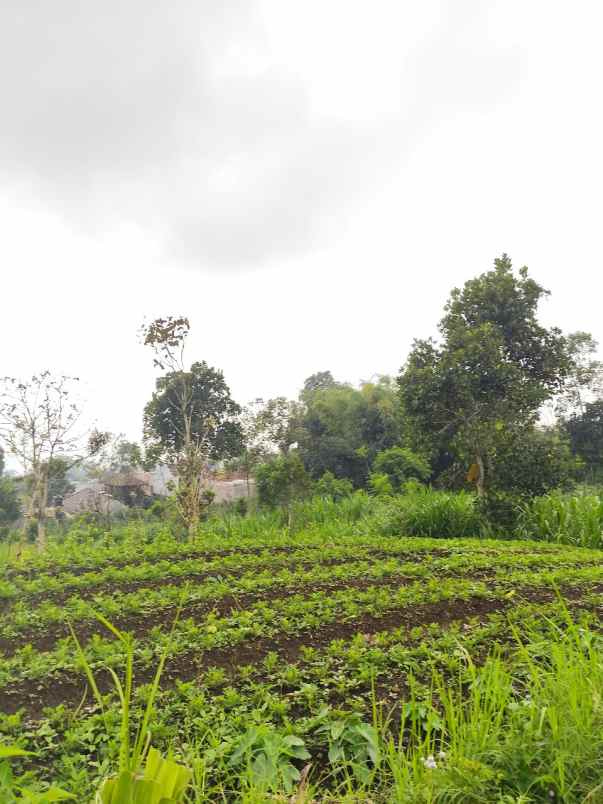 tanah murah strategis view menawan di kota batu
