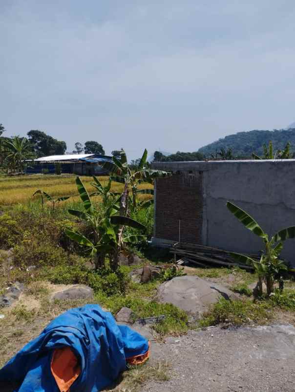 tanah pedesaan trawas view persawahan dan pegunungan