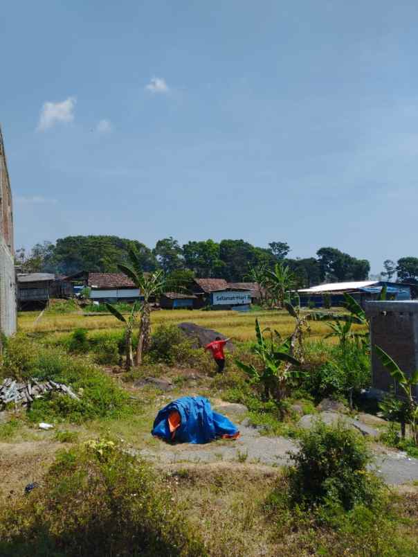 tanah pedesaan trawas view persawahan dan pegunungan