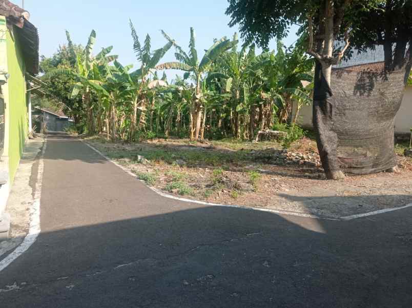 tanah pekarangan di krikilan masaran sragen