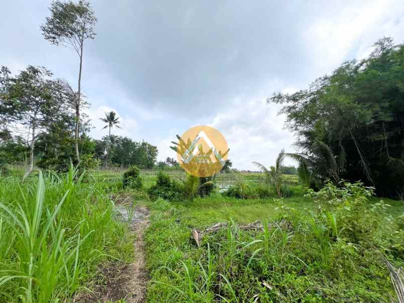 tanah pekarangan pakem dekat jogja ecopark