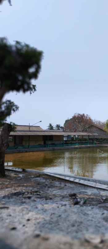 tanah pemancingan pinggir jalan raya kasemen