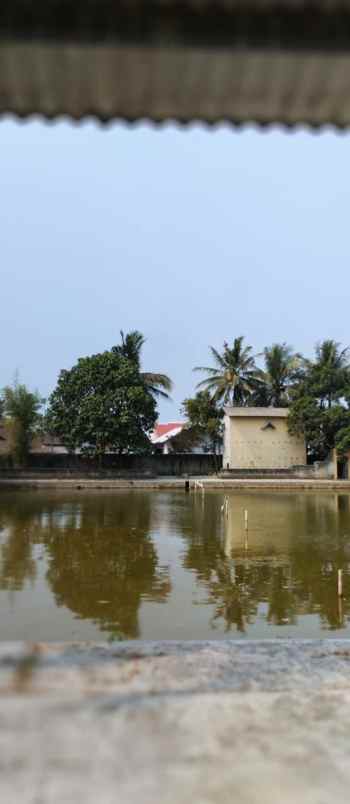 tanah pemancingan pinggir jalan raya kasemen