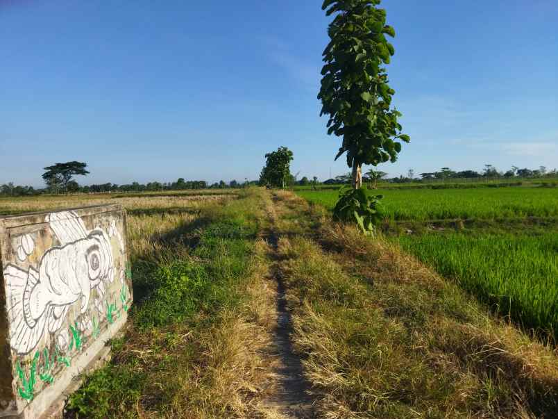 tanah polanharjo klaten