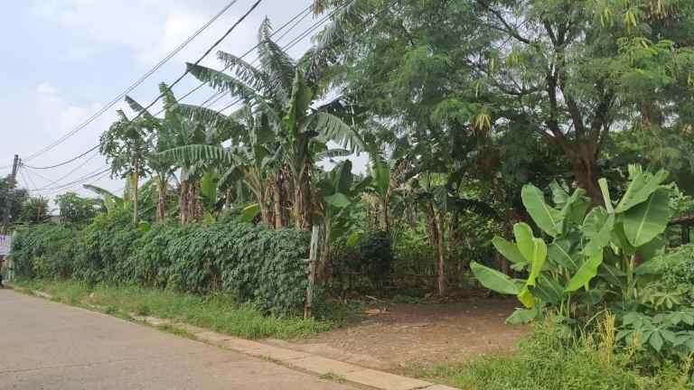 tanah pusoitek babakan