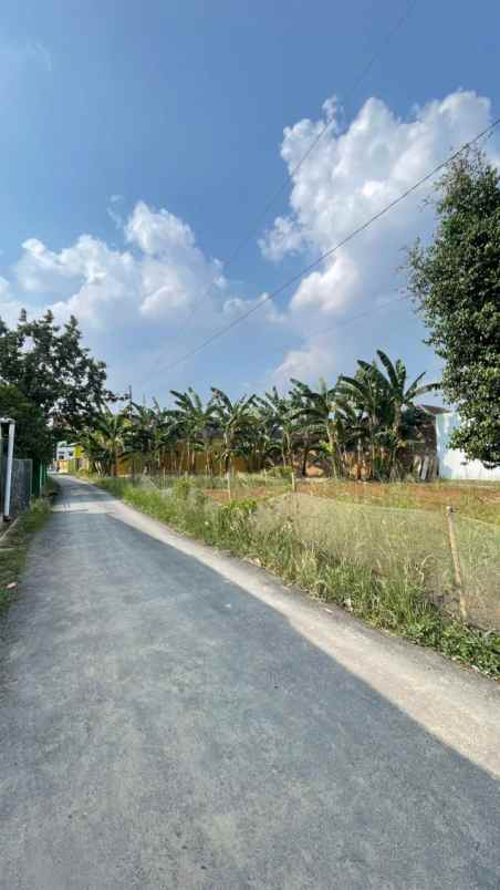 tanah rajabasa bandar lampung
