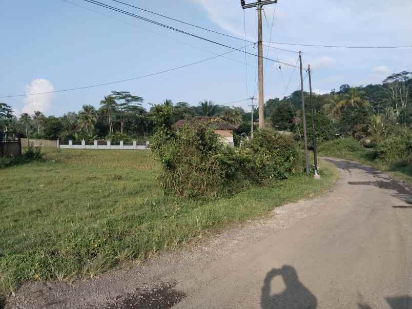 tanah subur air dekat sungai subang jawa barat