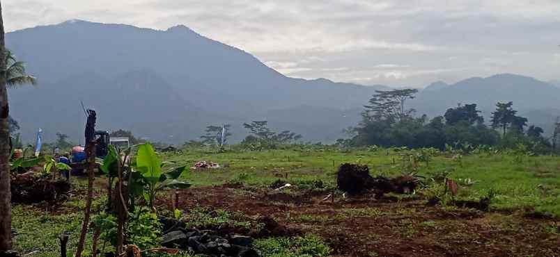 tanah tanjungsari kab bogor