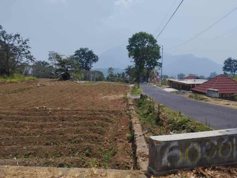 tanah trawas dekat hotel arayanna 0 jalan kabupaten