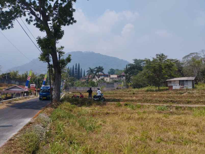 tanah trawas dekat hotel arayanna 0 jalan kabupaten