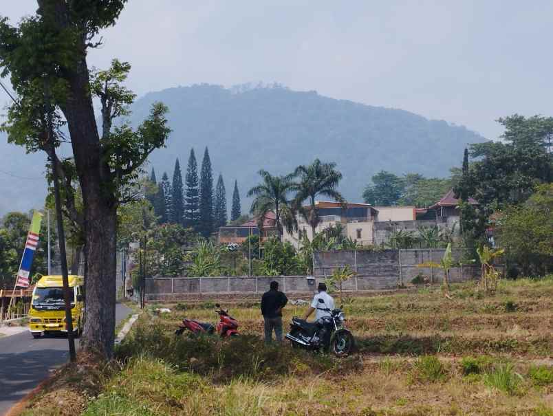 tanah trawas dekat hotel arayanna 0 jalan kabupaten