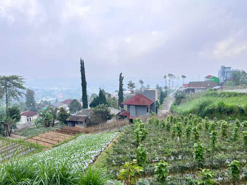 tanah udara dingin kawasan wisata kemuning karanganyar