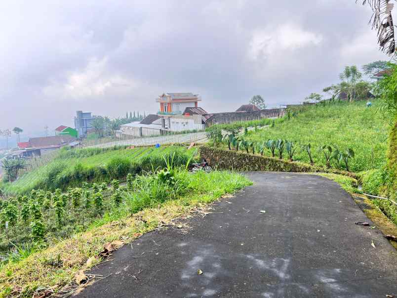 tanah udara dingin kawasan wisata kemuning karanganyar