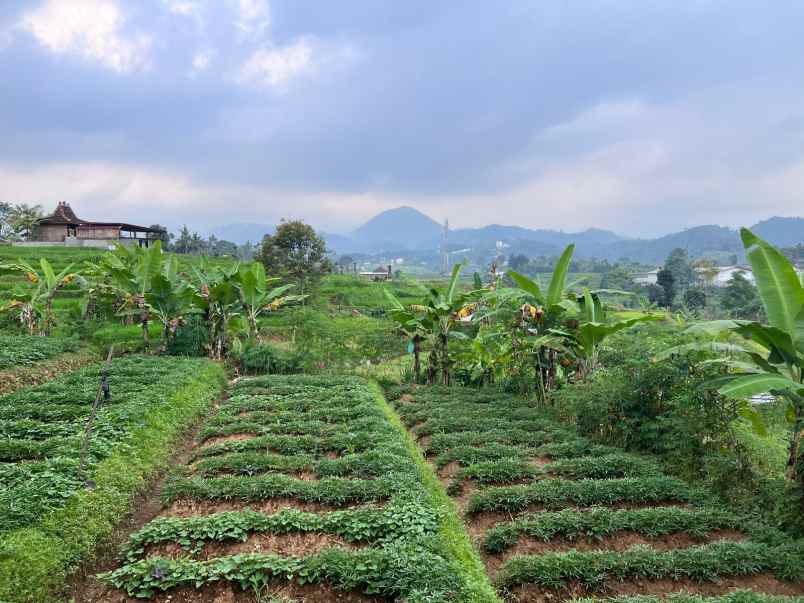 tanah villa idaman view pegunungan karangpandan