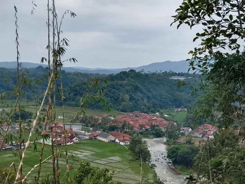 vila kebun ada kandang sapi kambing subang