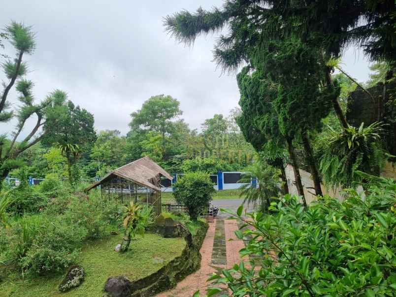 villa cantik dijual cepat di tugu udang kaliurang