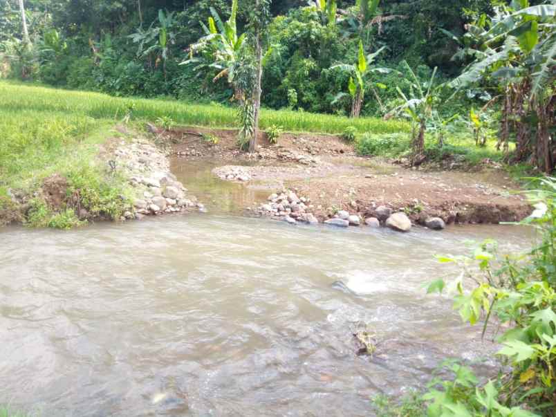 15 ha tanah sawah bukit batu mata air panas air terjun