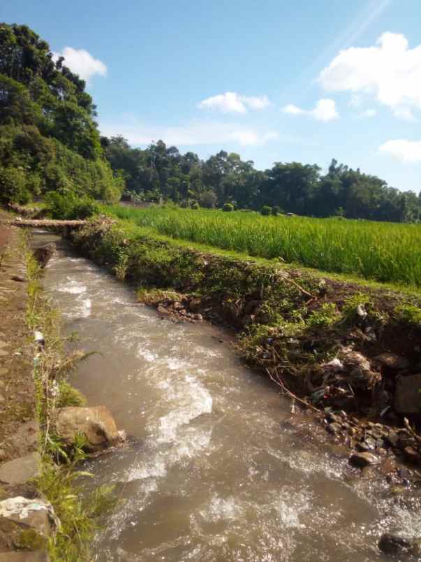 15 ha tanah sawah bukit batu mata air panas air terjun