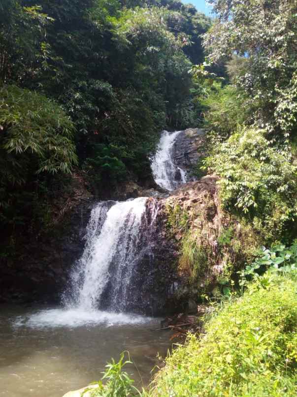 15 ha tanah sawah bukit batu mata air panas air terjun