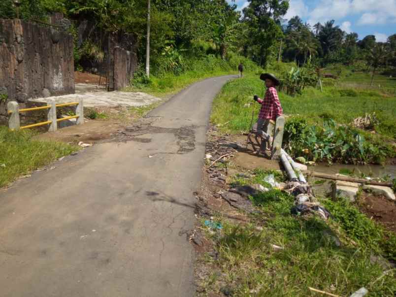 15 ha tanah sawah bukit batu mata air panas air terjun