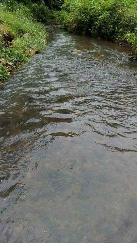 15 ha tanah sawah bukit batu mata air panas air terjun