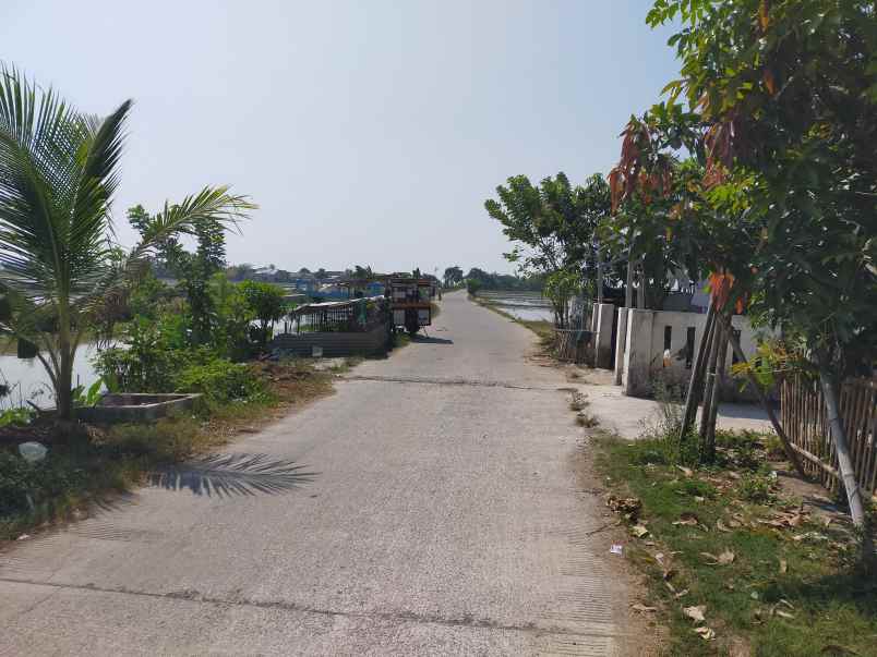 dijual cepat sebidang tanah