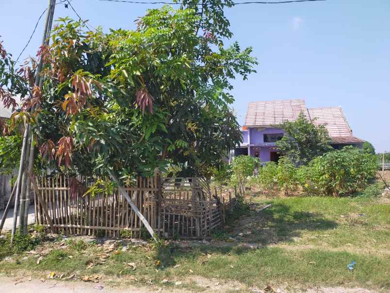 dijual cepat sebidang tanah